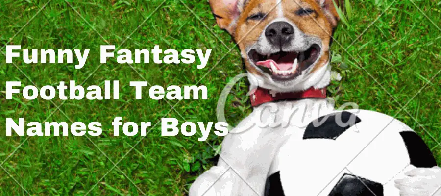 funny team names for fantasy football