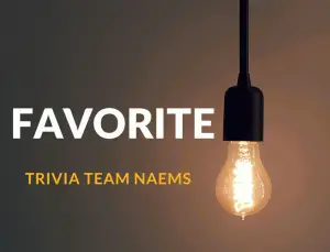 Favorite Trivia Team Names