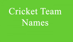 funny Cricket Team names