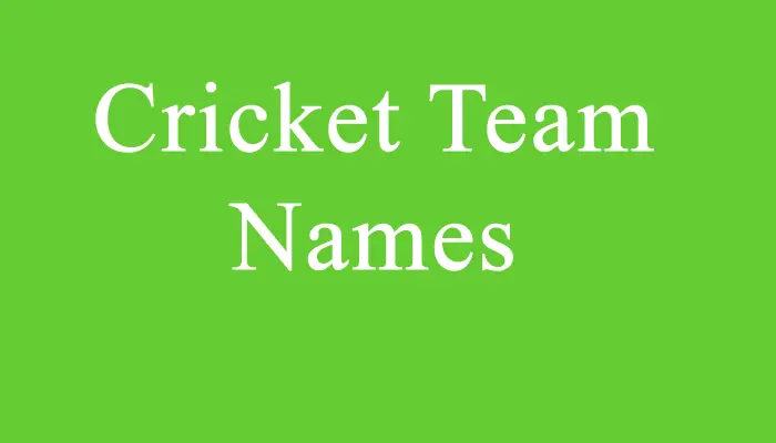 funny Cricket Team names